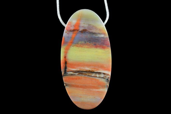 Arizona Petrified Wood Pendant with Snake Chain Necklace #171112